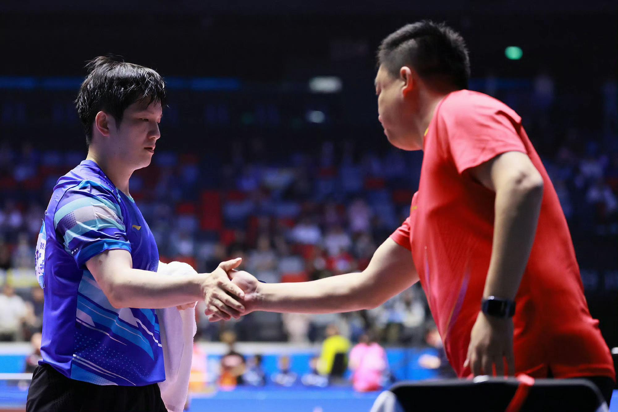 IM Sport-法国队逆转韩国队，樊振东状态火热