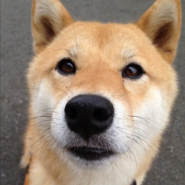 冰火交锋，恩比德关键先生本色，吉林队连续得分压制老鹰战术解析