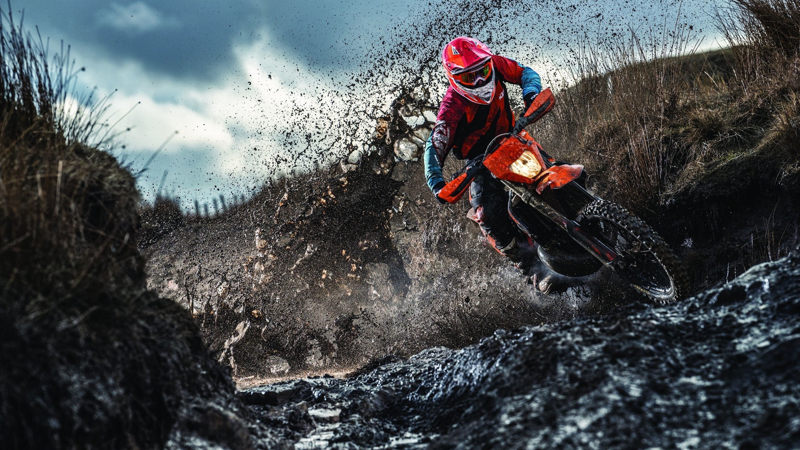 王朝之压与逆袭之刃,当国王强压辽宁,拉文如何化身关键先生