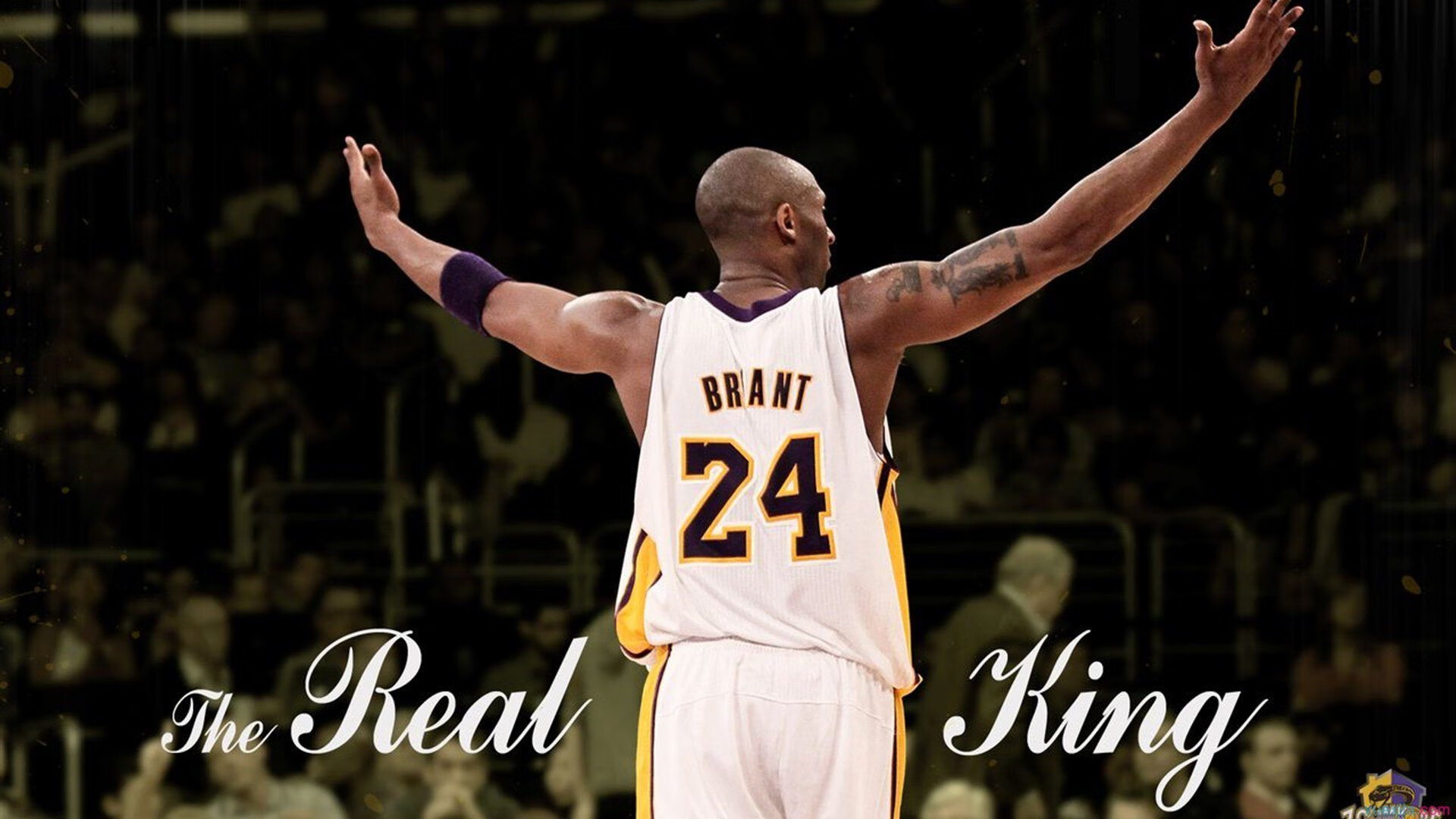 库里关键三分定乾坤，湖人巅峰对决险胜猛龙